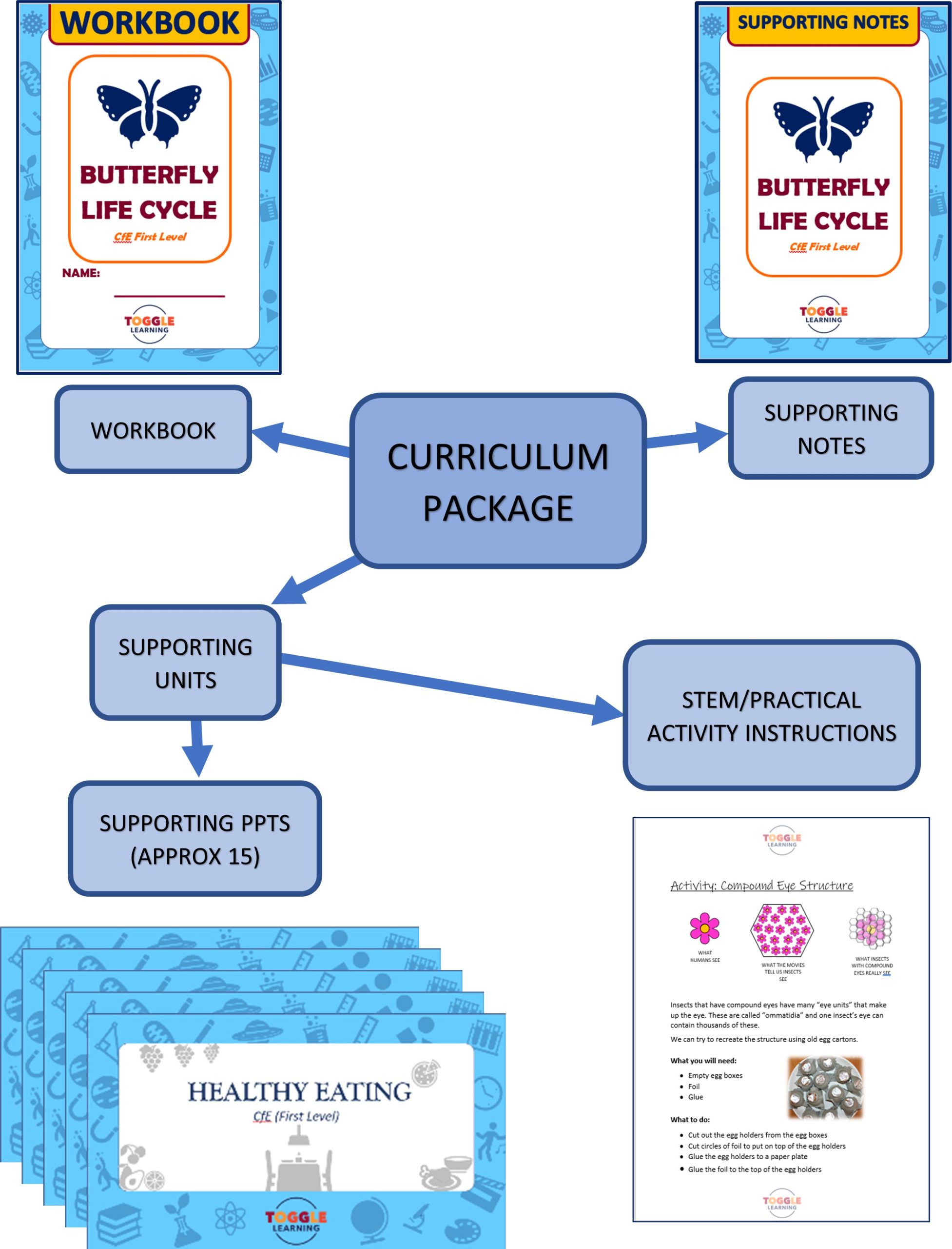 Curriculum Package Outline_Graphic2